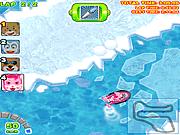 ���� ���� �������